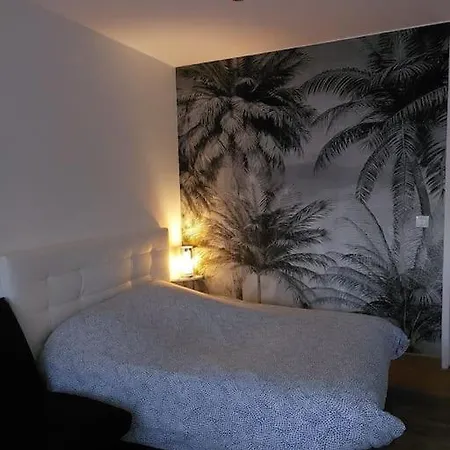 Studio Refait A Neuf De 30m², Balcon Plein Sud